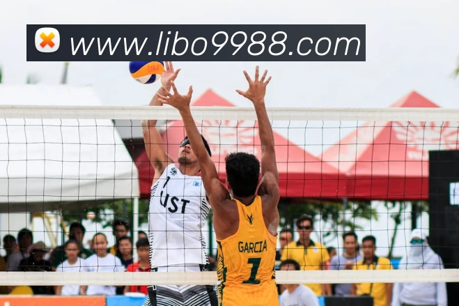 libo立博英国APP 高清赛事图